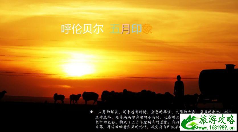 呼伦贝尔有哪些景区 呼伦贝尔旅游攻略2017