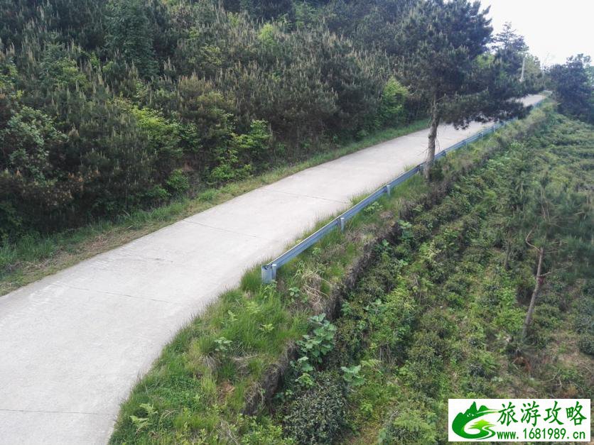 龟峰山风景区好玩吗 龟峰山旅游攻略