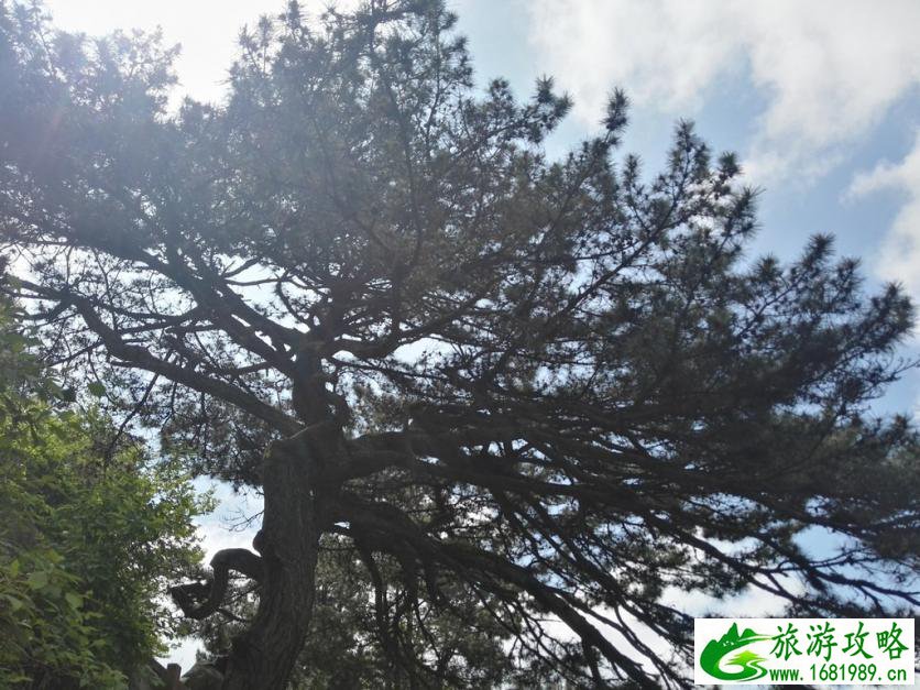 龟峰山风景区好玩吗 龟峰山旅游攻略