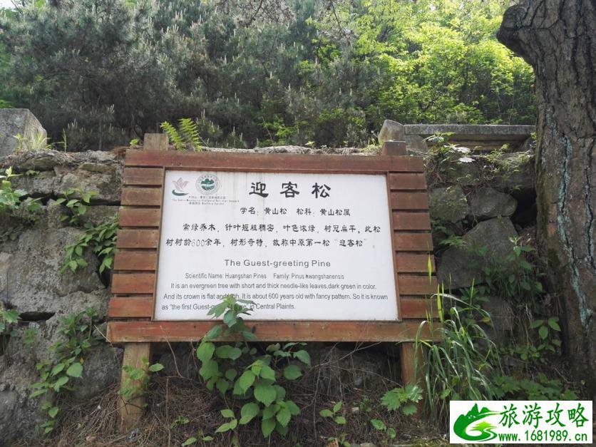 龟峰山风景区好玩吗 龟峰山旅游攻略