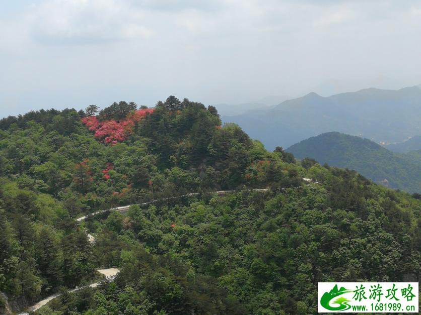龟峰山风景区好玩吗 龟峰山旅游攻略