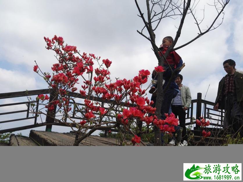 龟峰山风景区好玩吗 龟峰山旅游攻略