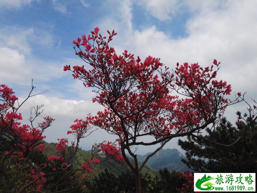 龟峰山风景区好玩吗 龟峰山旅游攻略