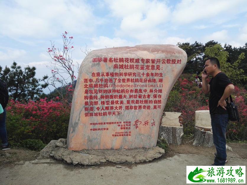 龟峰山风景区好玩吗 龟峰山旅游攻略