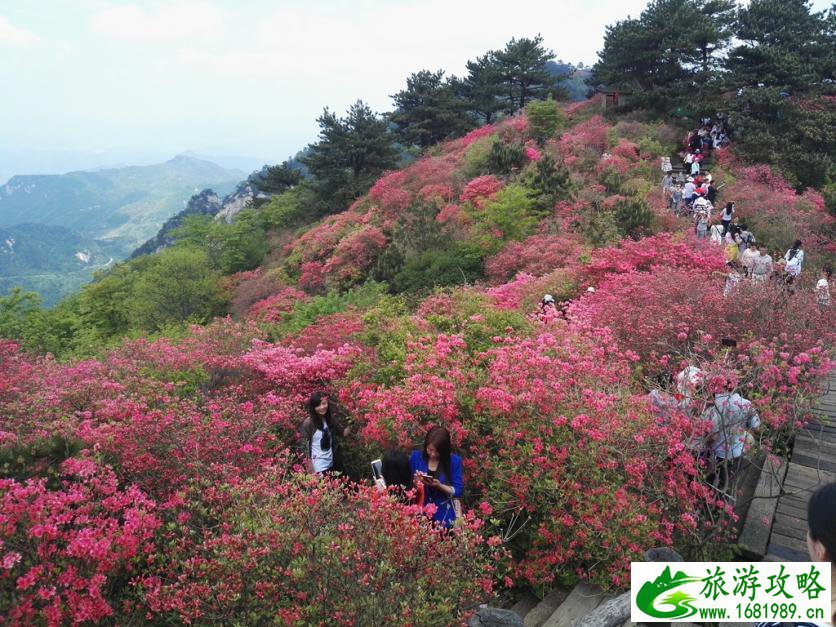 龟峰山风景区好玩吗 龟峰山旅游攻略