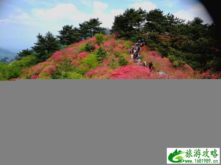龟峰山风景区好玩吗 龟峰山旅游攻略