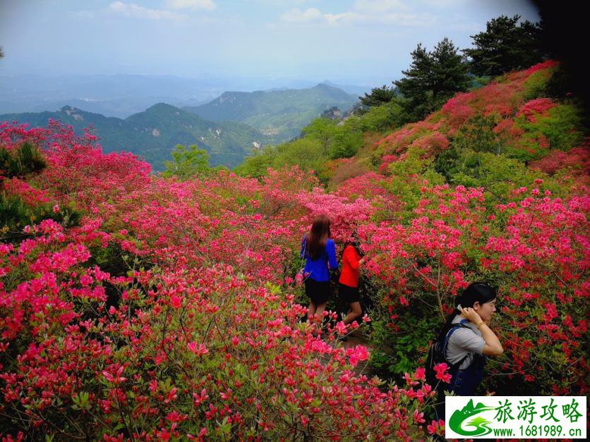 龟峰山风景区好玩吗 龟峰山旅游攻略