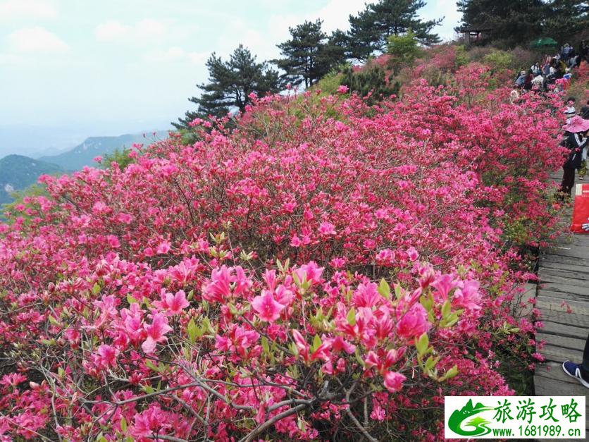龟峰山风景区好玩吗 龟峰山旅游攻略