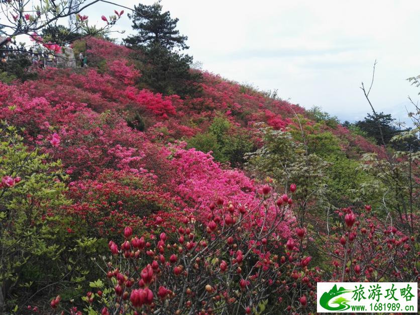 龟峰山风景区好玩吗 龟峰山旅游攻略