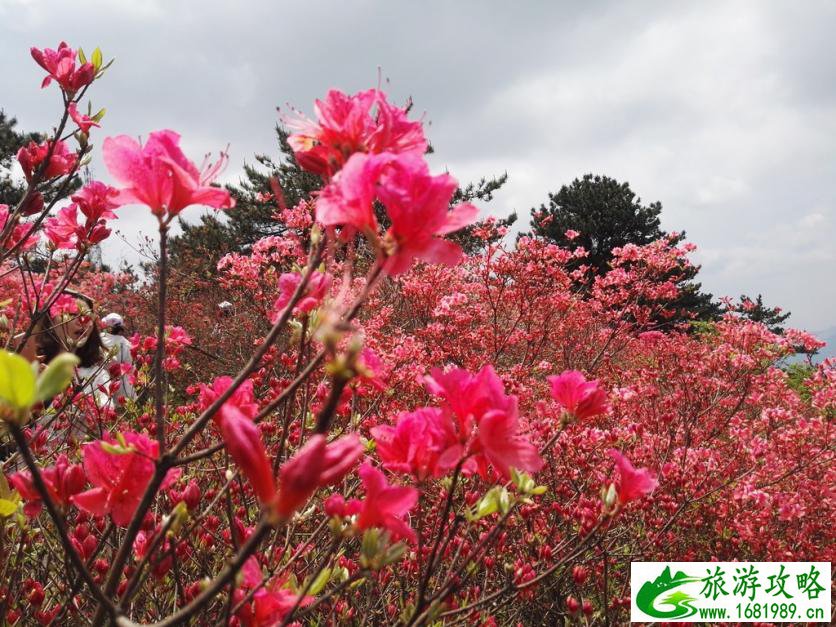 龟峰山风景区好玩吗 龟峰山旅游攻略