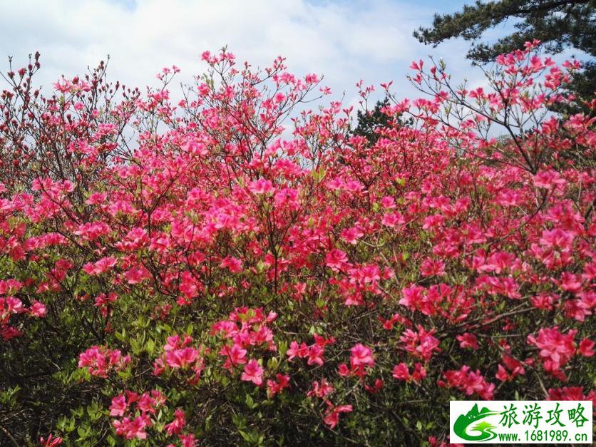 龟峰山风景区好玩吗 龟峰山旅游攻略