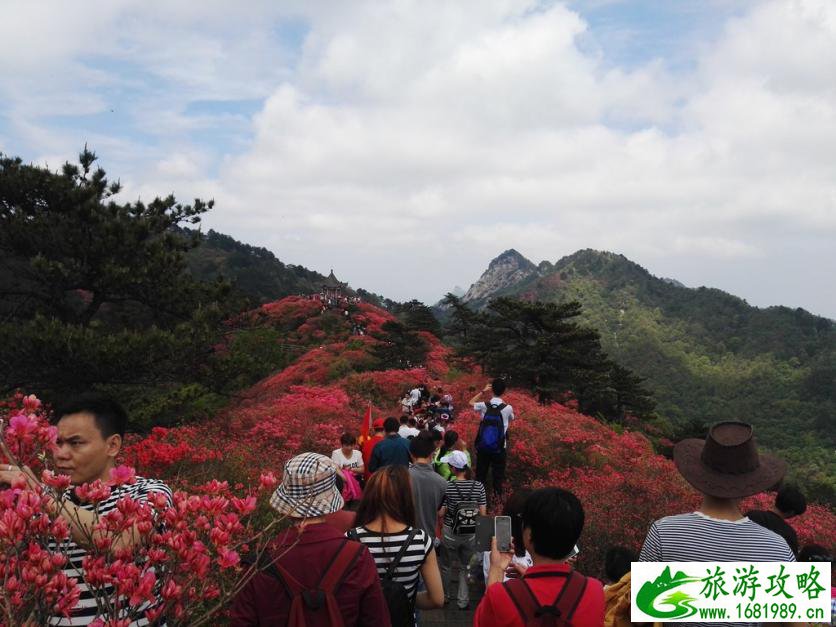 龟峰山风景区好玩吗 龟峰山旅游攻略