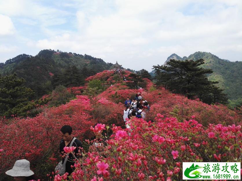 龟峰山风景区好玩吗 龟峰山旅游攻略