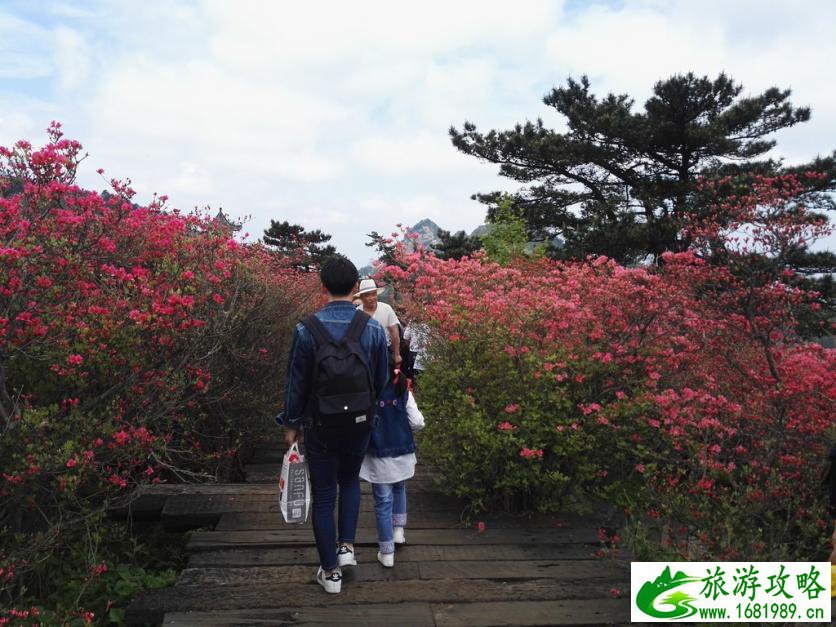 龟峰山风景区好玩吗 龟峰山旅游攻略