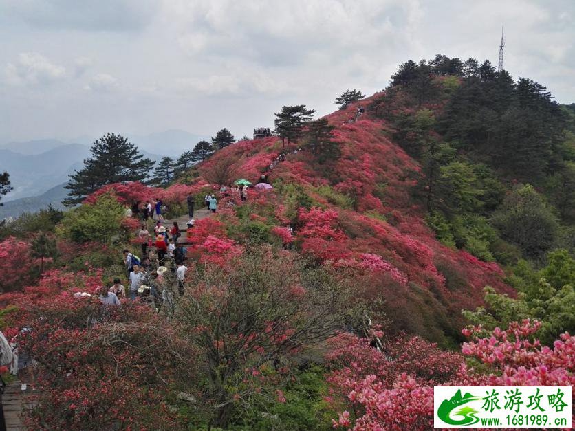 龟峰山风景区好玩吗 龟峰山旅游攻略