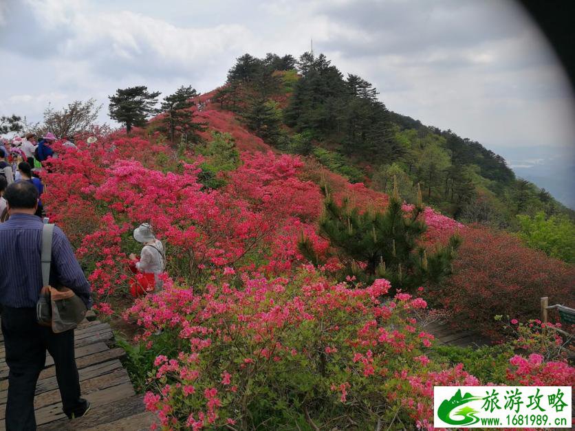 龟峰山风景区好玩吗 龟峰山旅游攻略