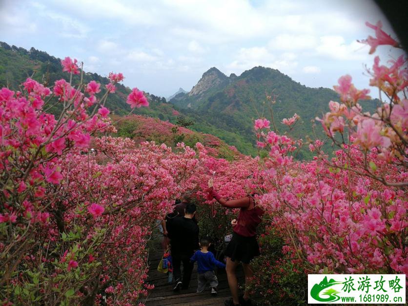 龟峰山风景区好玩吗 龟峰山旅游攻略