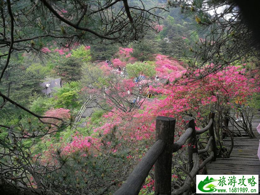 龟峰山风景区好玩吗 龟峰山旅游攻略