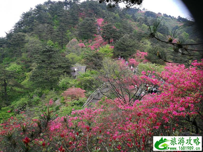 龟峰山风景区好玩吗 龟峰山旅游攻略