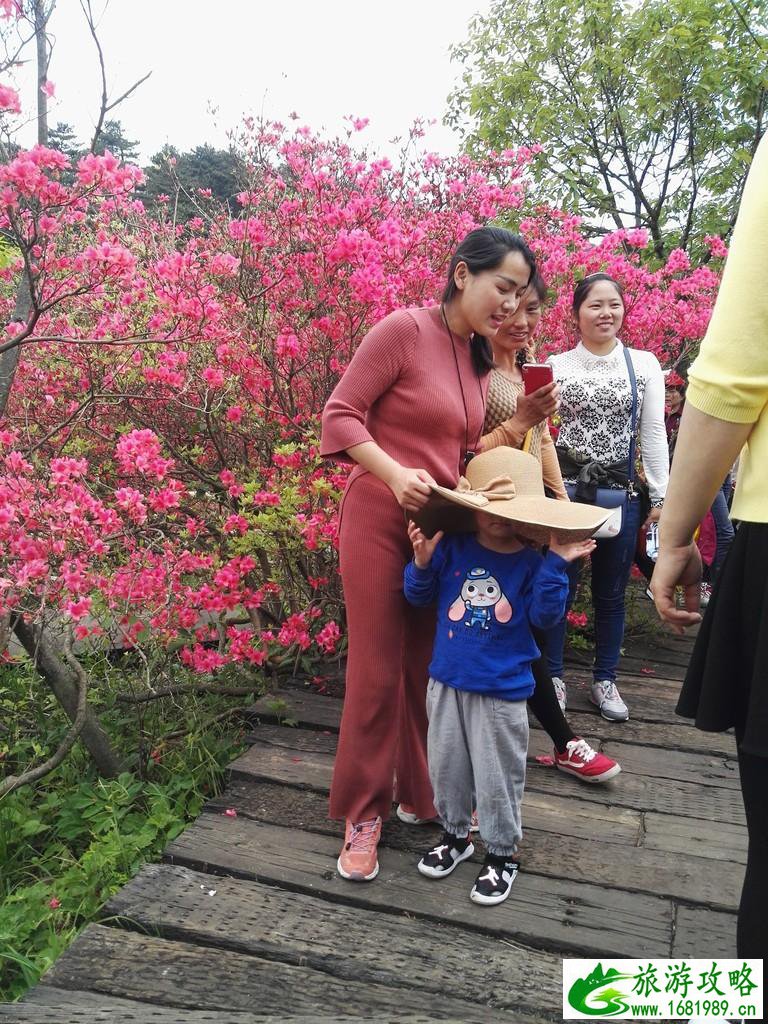 龟峰山风景区好玩吗 龟峰山旅游攻略