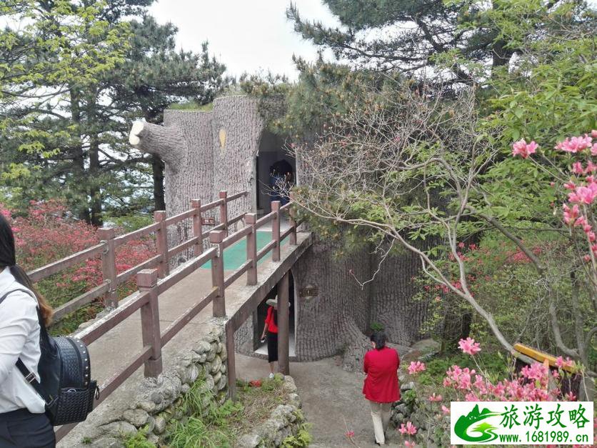 龟峰山风景区好玩吗 龟峰山旅游攻略