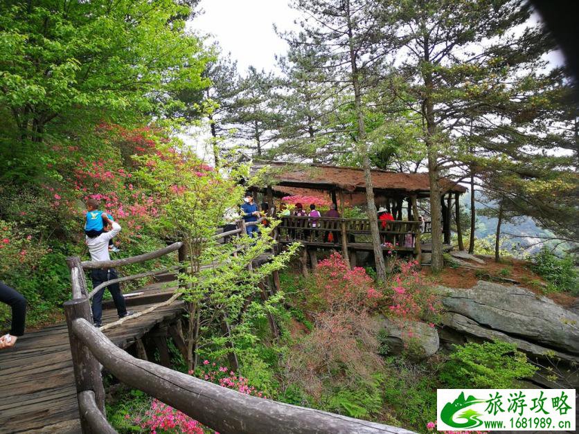 龟峰山风景区好玩吗 龟峰山旅游攻略