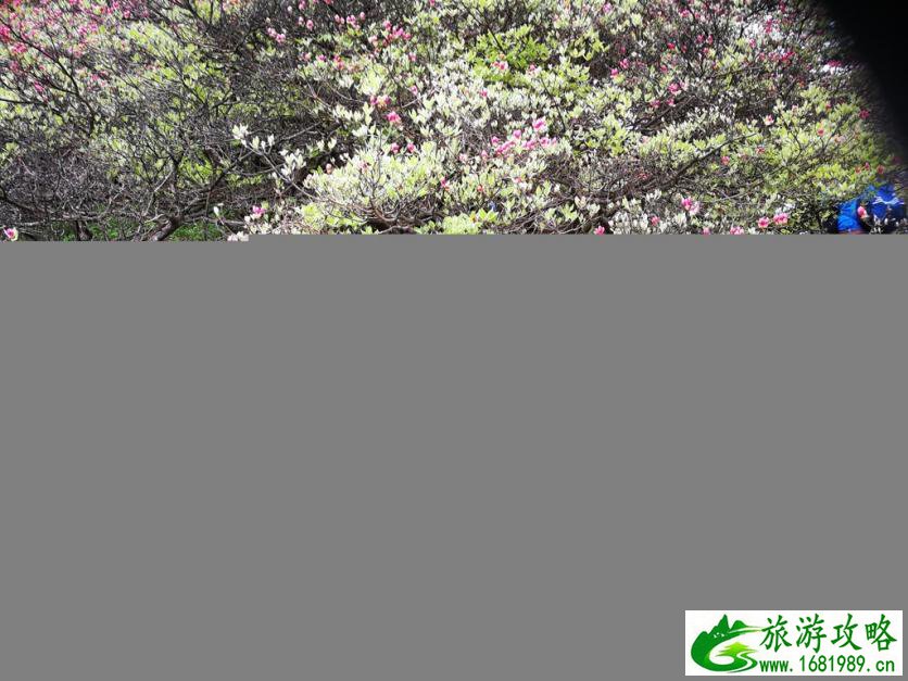 龟峰山风景区好玩吗 龟峰山旅游攻略