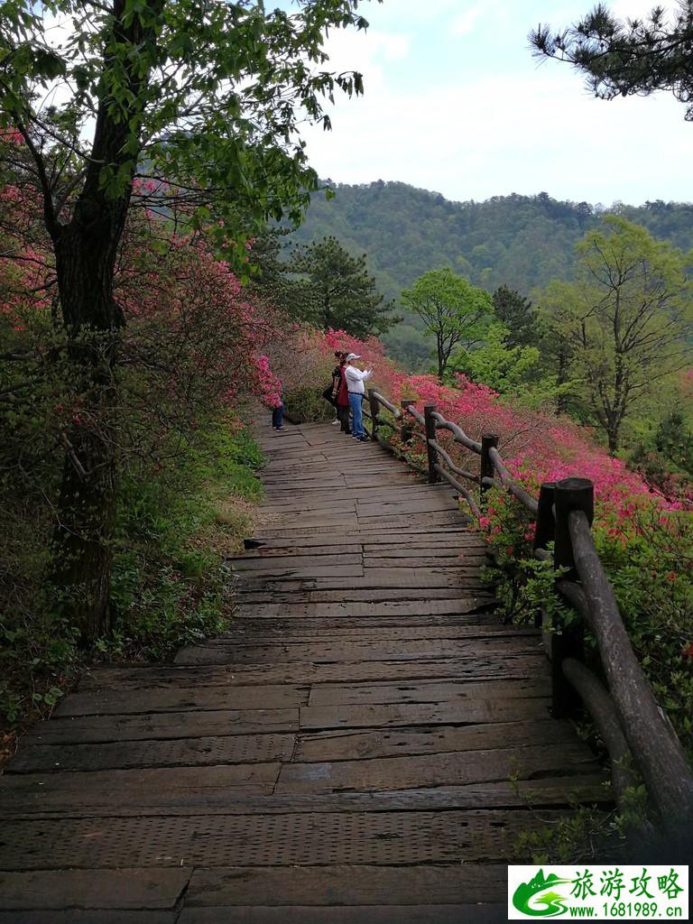 龟峰山风景区好玩吗 龟峰山旅游攻略