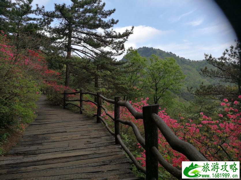 龟峰山风景区好玩吗 龟峰山旅游攻略