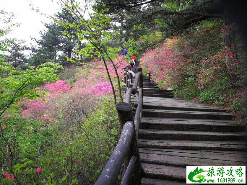 龟峰山风景区好玩吗 龟峰山旅游攻略