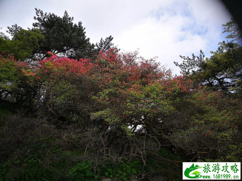 龟峰山风景区好玩吗 龟峰山旅游攻略