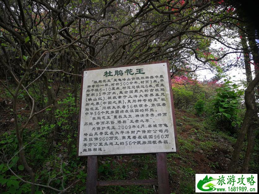 龟峰山风景区好玩吗 龟峰山旅游攻略