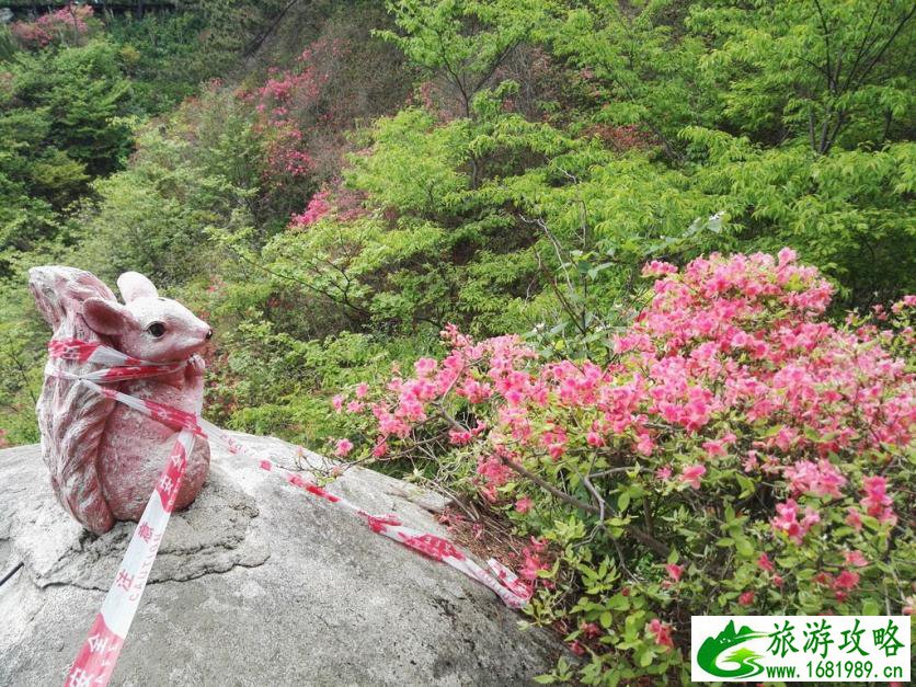 龟峰山风景区好玩吗 龟峰山旅游攻略