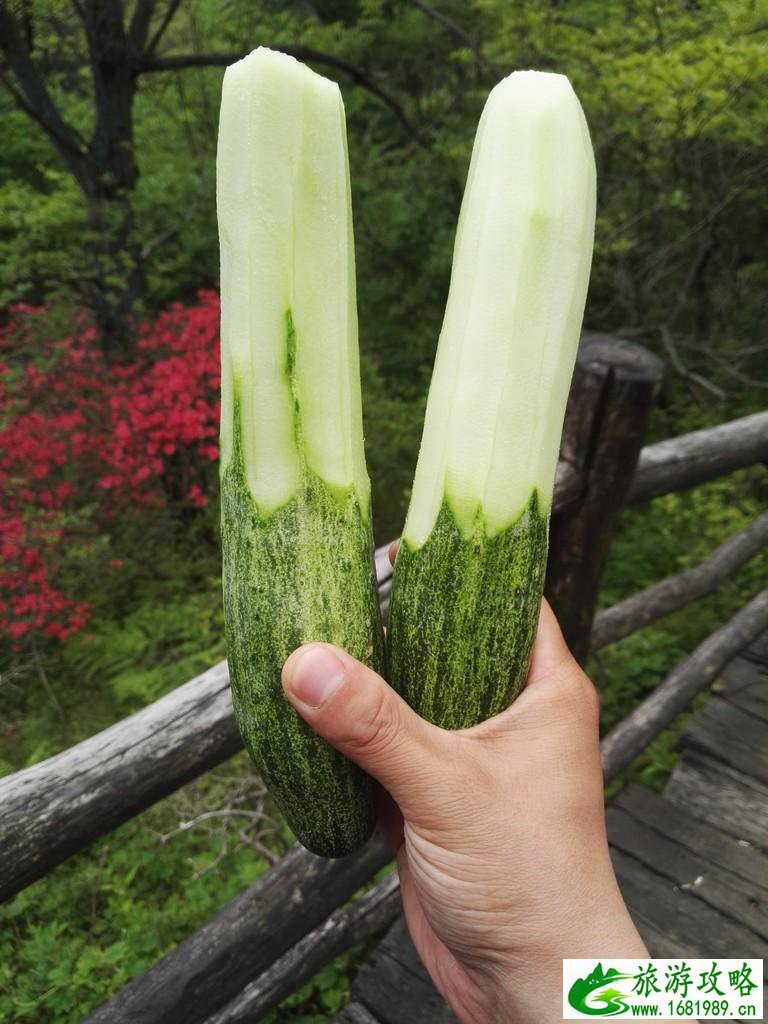 龟峰山风景区好玩吗 龟峰山旅游攻略