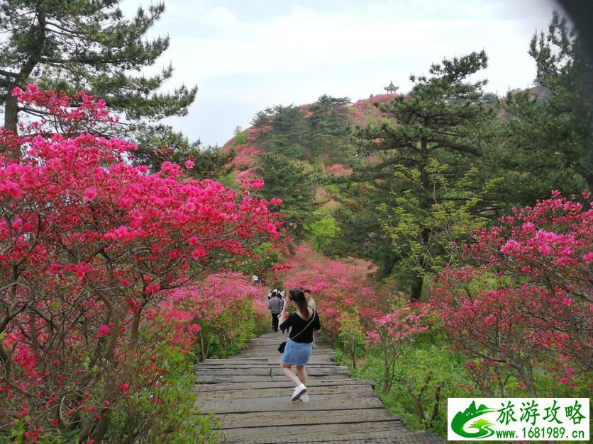 龟峰山风景区好玩吗 龟峰山旅游攻略