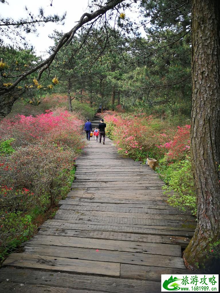龟峰山风景区好玩吗 龟峰山旅游攻略