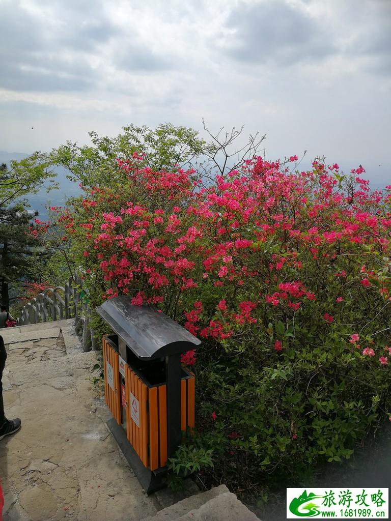 龟峰山风景区好玩吗 龟峰山旅游攻略