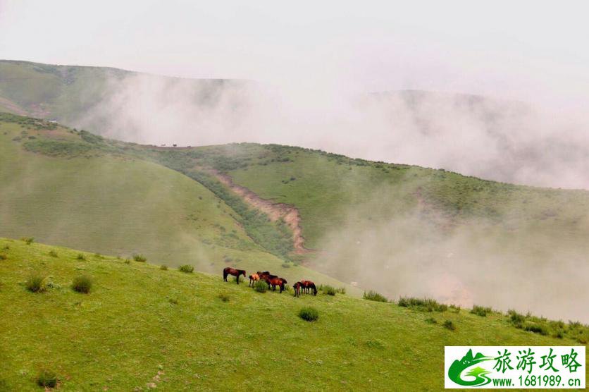 伊犁果子沟旅游攻略 伊犁果子沟旅游攻略