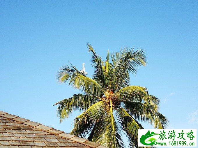 芙拉瓦丽岛怎么样 芙拉瓦丽岛旅游攻略