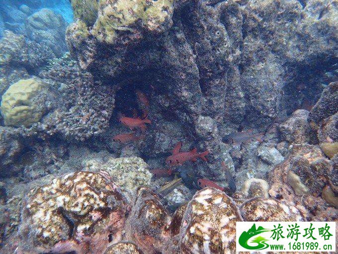 芙拉瓦丽岛怎么样 芙拉瓦丽岛旅游攻略
