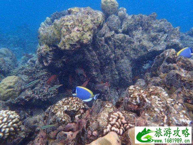 芙拉瓦丽岛怎么样 芙拉瓦丽岛旅游攻略