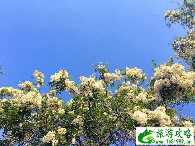 日照有什么好玩的地方 日照自驾游攻略 日照有什么好玩的地方 日照自驾游攻略