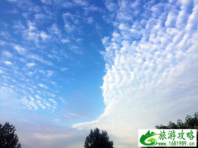 日照有什么好玩的地方 日照自驾游攻略 日照有什么好玩的地方 日照自驾游攻略