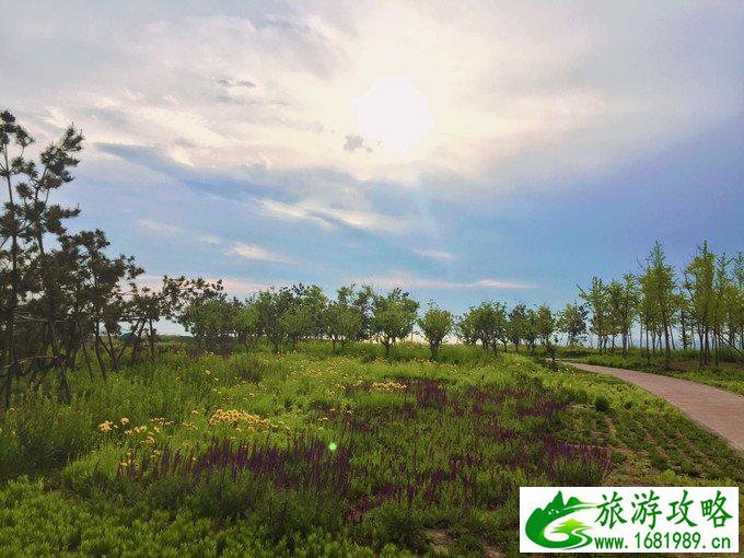 日照有什么好玩的地方 日照自驾游攻略 日照有什么好玩的地方 日照自驾游攻略