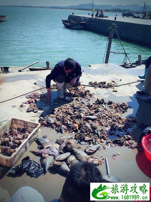 日照有什么好玩的地方 日照自驾游攻略 日照有什么好玩的地方 日照自驾游攻略