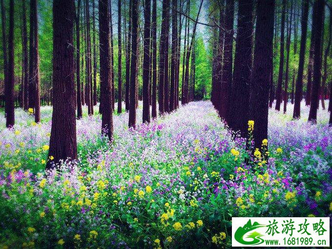 日照有什么好玩的地方 日照自驾游攻略 日照有什么好玩的地方 日照自驾游攻略