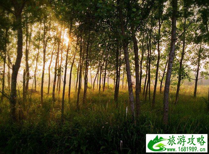 日照有什么好玩的地方 日照自驾游攻略 日照有什么好玩的地方 日照自驾游攻略