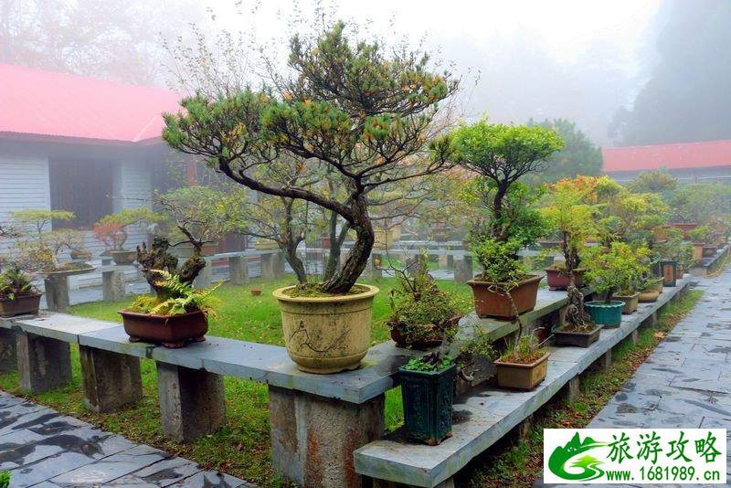 江西有什么旅游景点 江西有什么好玩的地方 江西有什么旅游景点 江西有什么好玩的地方