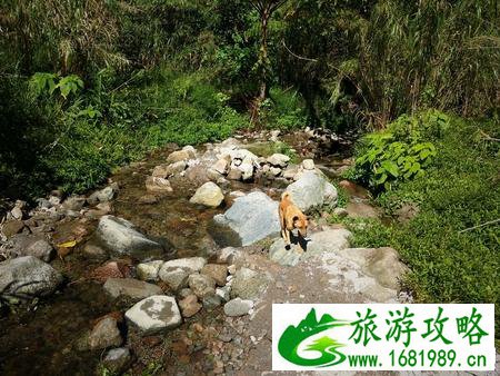 皮纳图博火山自由行攻略 皮纳图博火山探险 皮纳图博火山自由行攻略 皮纳图博火山探险