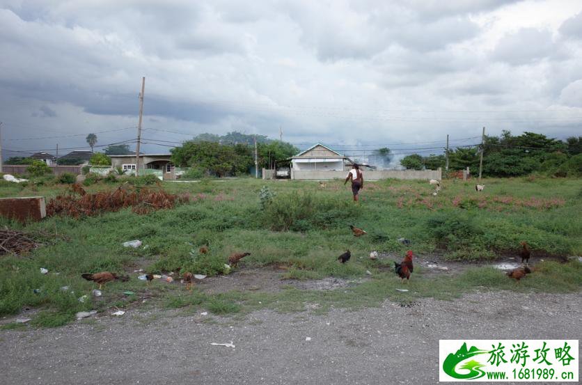 金斯敦旅游攻略2017 金斯敦旅行安全吗 金斯敦旅游攻略2017 金斯敦旅行安全吗